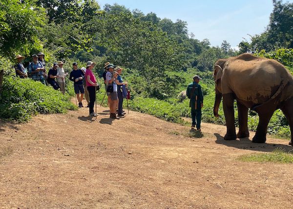 13 Days Luang Prabang Cycling To Hanoi
